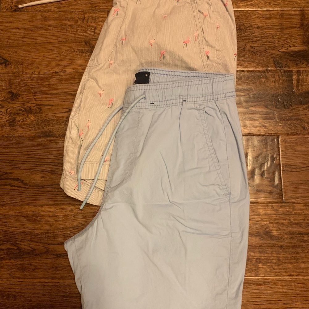 Hollister Light Blue and Cream Men Shorts